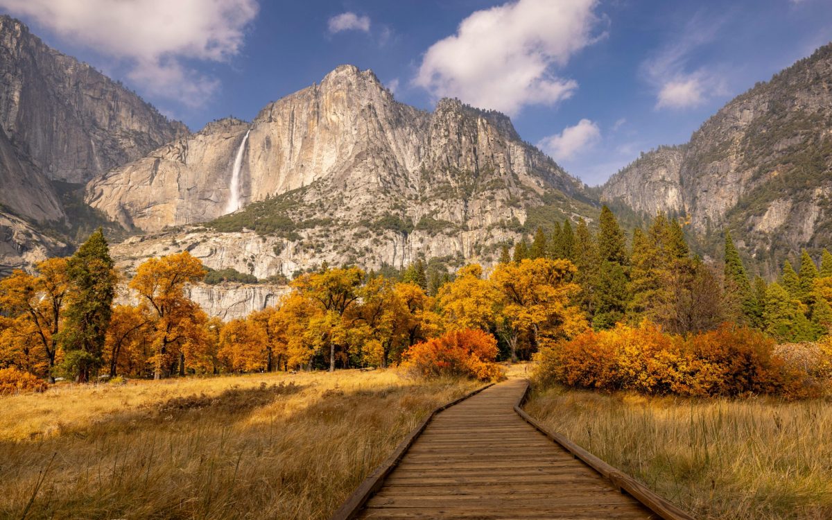 Family Retreat in the mountains of Yosemite California